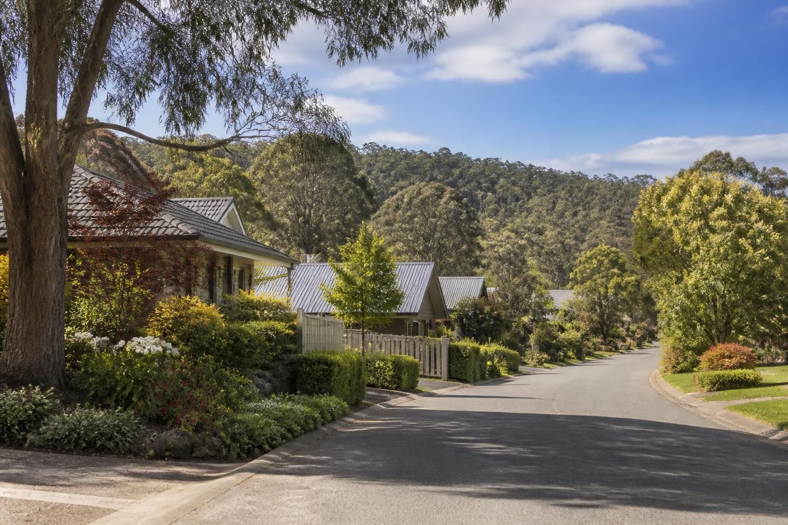 Welcoming Ringwood neighborhood with leafy gardens and well-kept homes.